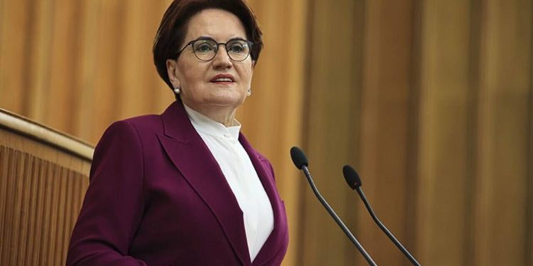 Meral Akşener’den DEM Parti’ye sert tepki