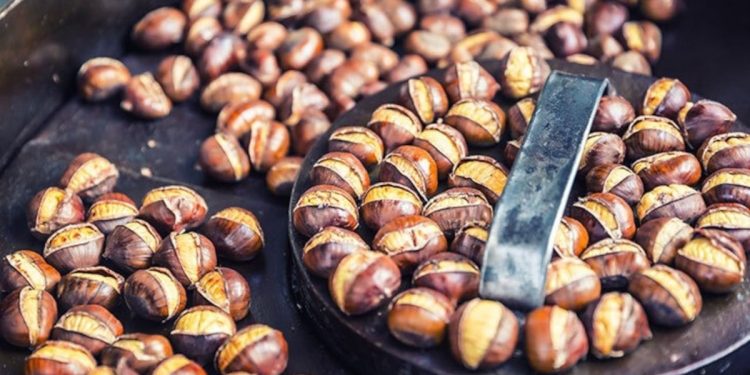 Kestanenin tanesi 10 lira oldu