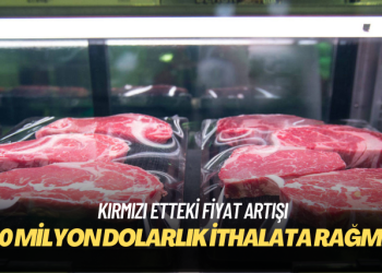 Kırmızı etteki fiyat artışı, 850 milyon dolarlık ithalata rağmen yüzde 85’i buldu