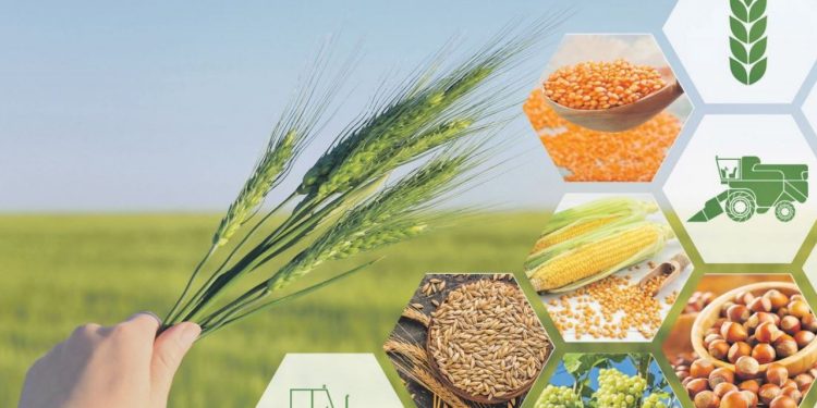 Kur korumalı mevduata giden para, tarıma ayrılanın 3 katı