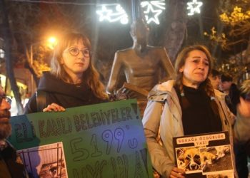 Sokak hayvanları için eylem: Valilik yasayı deliyor