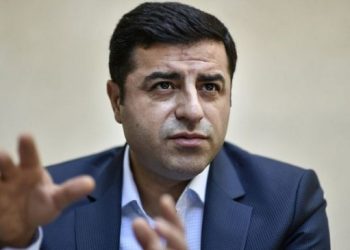 Demirtaş: Devlet şu an MHP’dir, küçük ortağı AKP’dir