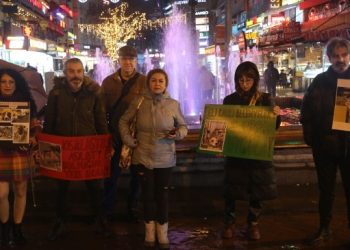 Sokak hayvanları için eylem: Bu bir cinayettir