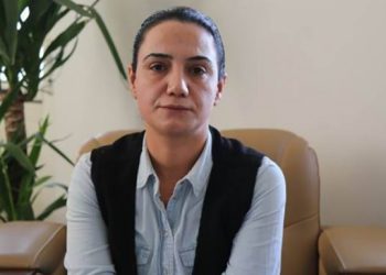 Bilgin: Milyonların iradesi tutsakken nasıl bir çözümden bahsedilebilir?