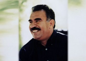 DEM Partili Kordu: Çözümün yegane yolu tecridin kaldırılmasıdır