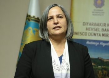 Kışanak: Ülkeyi kurtaracak olan şey barıştır, İmralı kapılarını açın