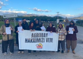Agrobay işten çıkardığı işçilere tazminat davası açtı