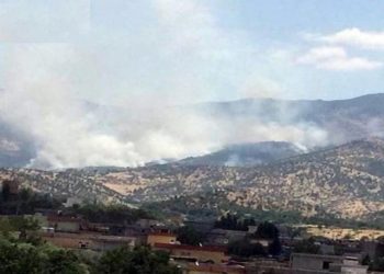 HPG’den dünkü saldırıya dair açıklama