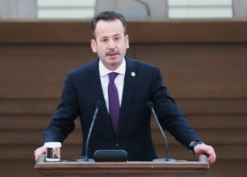 AYM üyesinden X’te ‘fil ve karınca’ metaforu: Karıncalar fili çok kıskanırmış!