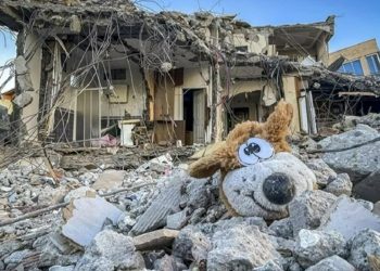 Ahmet Ercan: 'Sulak yerdeyseniz yüzde 60 olasılıkla depremlerden eviniz çok fazla zarar görecek'