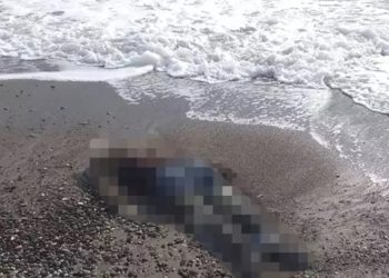 Antalya’da iki ceset daha bulundu: Son 4 günde 5 ceset sahile vurdu