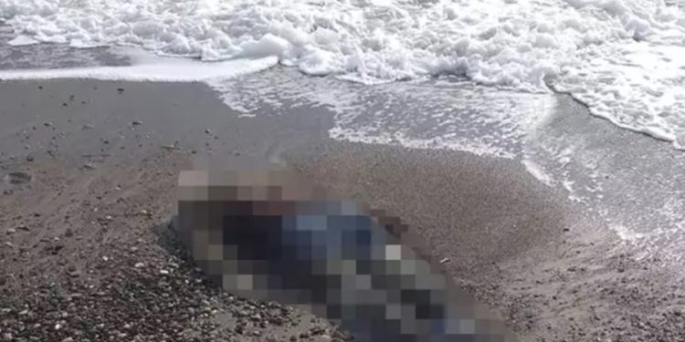 Antalya’da iki ceset daha bulundu: Son 4 günde 5 ceset sahile vurdu