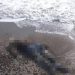 Antalya’da iki ceset daha bulundu: Son 4 günde 5 ceset sahile vurdu