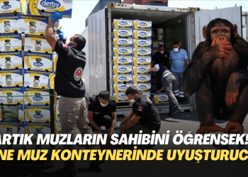 Artık muzların sahibini öğrensek! Yine Mersin Limanı’nda Muz yüklü konteynerde uyuşturucu çıktı