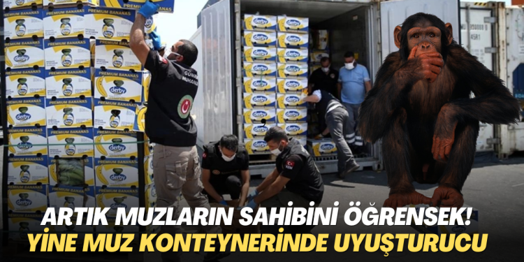 Artık muzların sahibini öğrensek! Yine Mersin Limanı’nda Muz yüklü konteynerde uyuşturucu çıktı