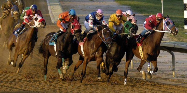 At yarışı bahislerine zam geldi