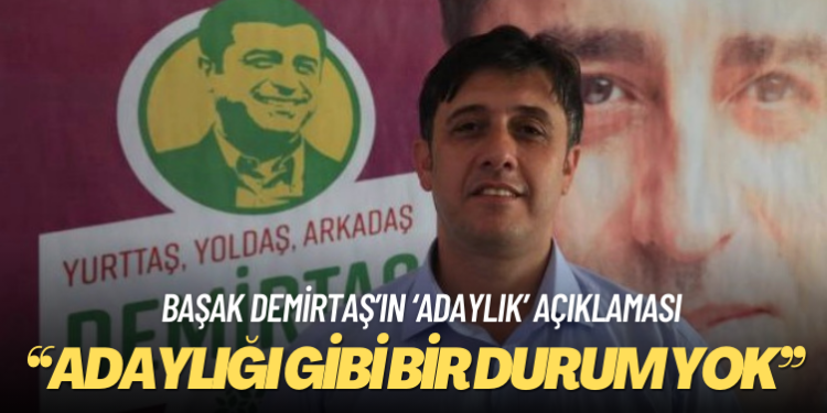 DEM Parti Eş Genel Başkan Yardımcısı Tiryaki: Başak Hanım kendi fikrini beyan ediyor. Adaylığı gibi bir durum yok