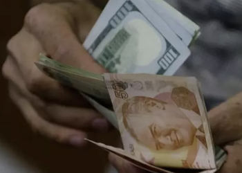 Dolar kurunda yeni zirve: 30 TL’yi geçti