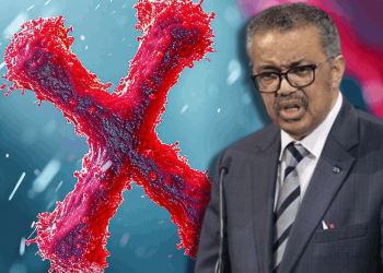 Dünya Sağlık Örgütü liderinden korkutan 'Hastalık X' açıklaması: '20 kat daha ölümcül'