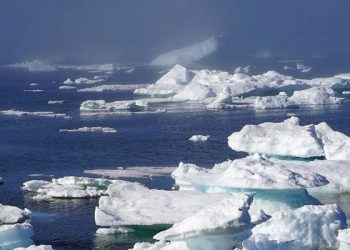 Grönland saatte 30 milyon ton buz kaybediyor