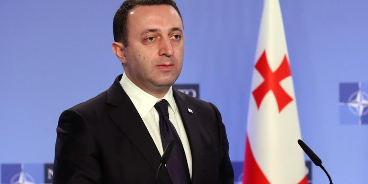 Gürcistan Başbakanı Garibaşvili istifa etti