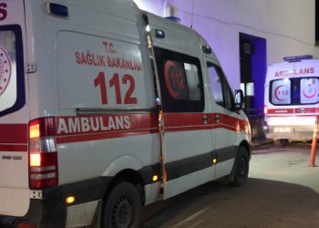 Hatay'da siyanürden daha zehirli balon balığının ciğerini yemiş!