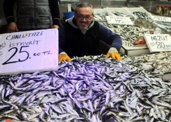 İstavrit balıkçıların yüzünü güldürdü; Kilosu 25 liradan tezgahlardaki yerini aldı