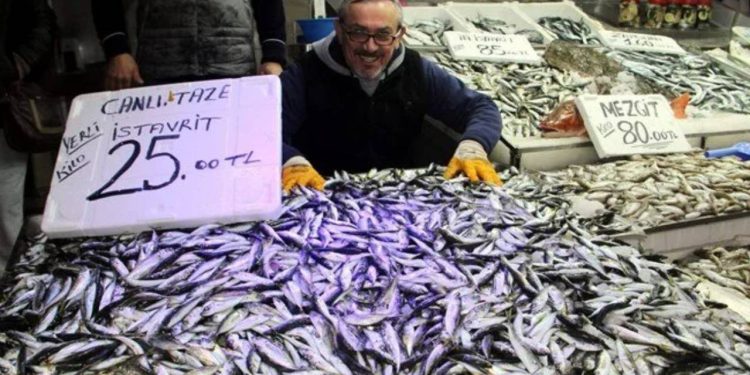 İstavrit balıkçıların yüzünü güldürdü; Kilosu 25 liradan tezgahlardaki yerini aldı
