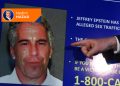 Nedir bu Epstein Davası?