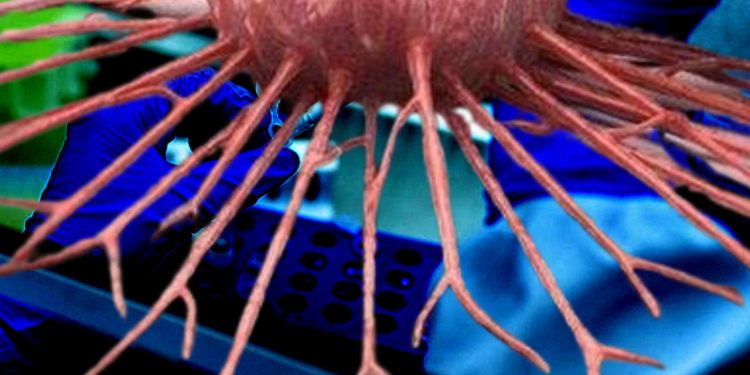 Rusya'dan kanser hastaları için umut verici gelişme: Olumlu sonuç verdi!