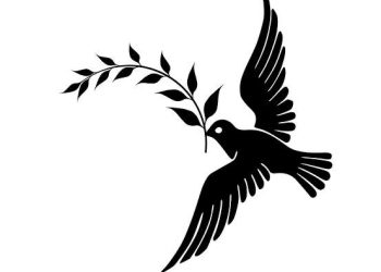 Safa Kar yazdı… Bahçeli ve Ali Koç ne demek istedi?