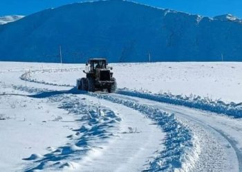 Van, Hakkari, Bitlis ve Muş'ta kar engeli: Ulaşımda sorun yaşanıyor