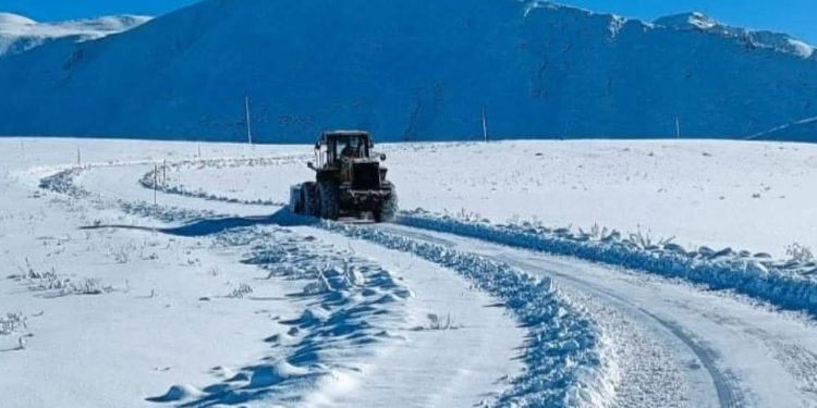 Van, Hakkari, Bitlis ve Muş'ta kar engeli: Ulaşımda sorun yaşanıyor