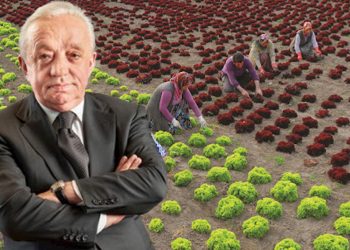 Yandaş müteahhit Mehmet Cengiz’in tarım arazilerini yok edeceği projesi onaylandı