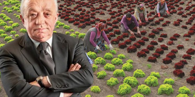 Yandaş müteahhit Mehmet Cengiz’in tarım arazilerini yok edeceği projesi onaylandı