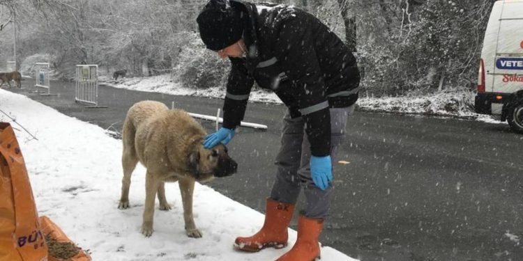 İstanbullulara hafta sonu için kar yağışı uyarısı