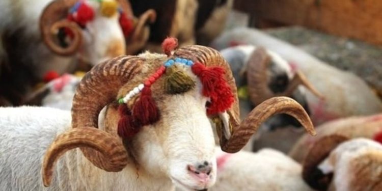 Diyanet Vakfı Giresun Şube Temsilcisi kurban paralarını zimmetine geçirmiş