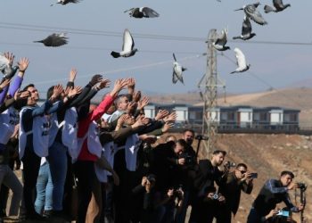Bozan: ‘Büyük Özgürlük Yürüyüşü’ bir başlangıçtı