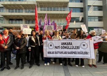 Sokak hayvanları için çağrı: Hayvanları ölüm kamplarına tıkanlara oy yok