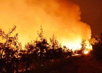 Şili’de orman yangınları nedeniyle OHAL ilan edildi