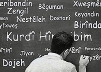 Kürtçe seçmeli dersler: Öğrenci var, öğretmen yok