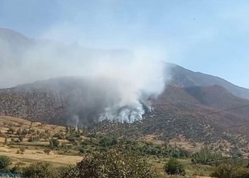 Qileban’da koruculara ‘operasyon’ baskısı