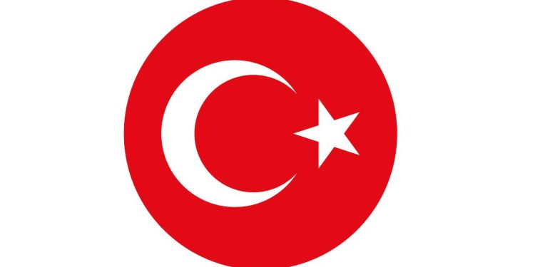 A Milli Takım'da Cedric Enard dönemi