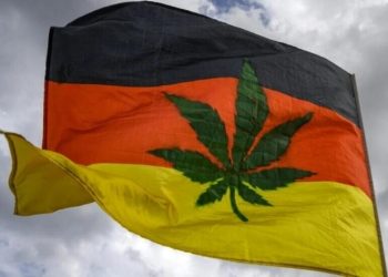 Almanya’da esrar kullanımı yasallaştı