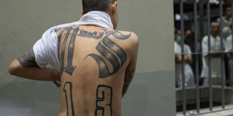 BBC, El Salvador’da ‘insan haklarının kara deliği’ olarak anılan mega cezaevine girdi