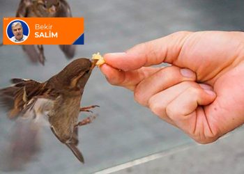 Bekir Salim’in kaleminden: “Ya Rab, bizi insan eyle!”