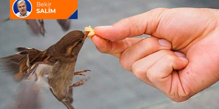 Bekir Salim’in kaleminden: “Ya Rab, bizi insan eyle!”