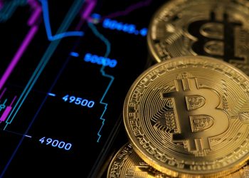 Bitcoin sahiplerinin %74’ü küçük yatırımcılar