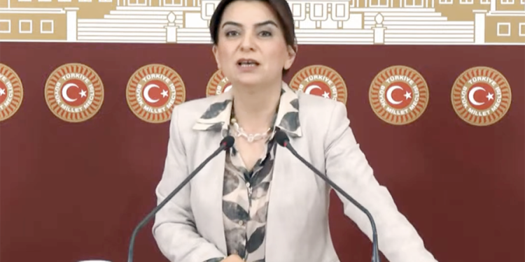 DEM Parti: Başak Demirtaş, muhtemel en güçlü adaylarımızdan birisi