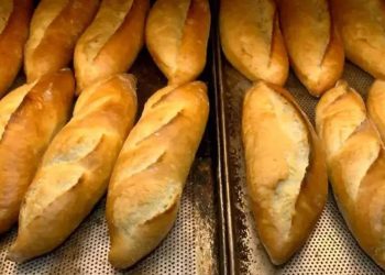 Ekmeğe zam sinyali: "Buğday fiyatları artarsa..."